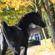 Breeding Season 2022